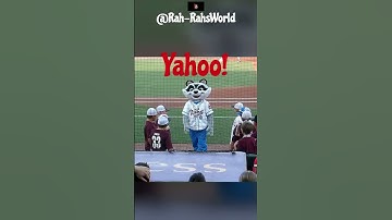 ⚾🦝 TRASH PANDAS!