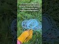 😡 gros coup de gueule pollution des sols au jardin ! #astuce #jardin #potager #permaculture #ecolo