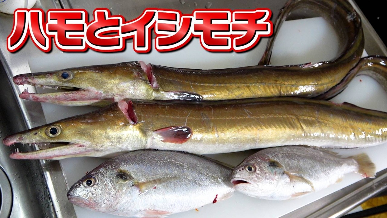 【へんおじクオリティ】米粒先生登場！ハモの親子丼を採点してもらった結果は...！？
