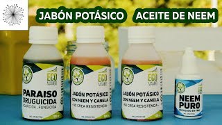 Aceite neem y jabón potásico Acaba con el 99.9% de todas las plagas en tus  plantas 