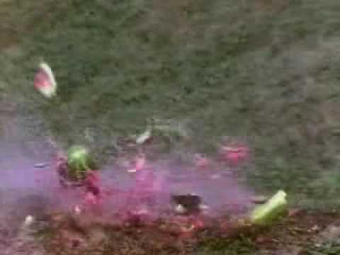 .50 Caliber Desert Eagle vs. Watermelons