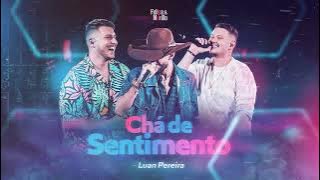 Felipe e Murillo ft Luan Pereira   Chá de Sentimento Oficial