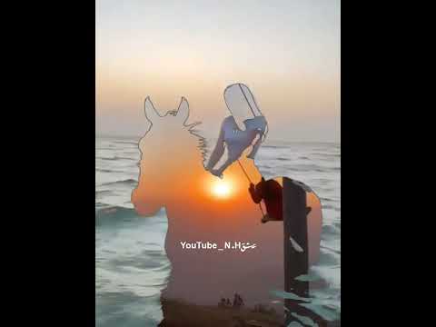 يا خيل سالم السيدة صليحة