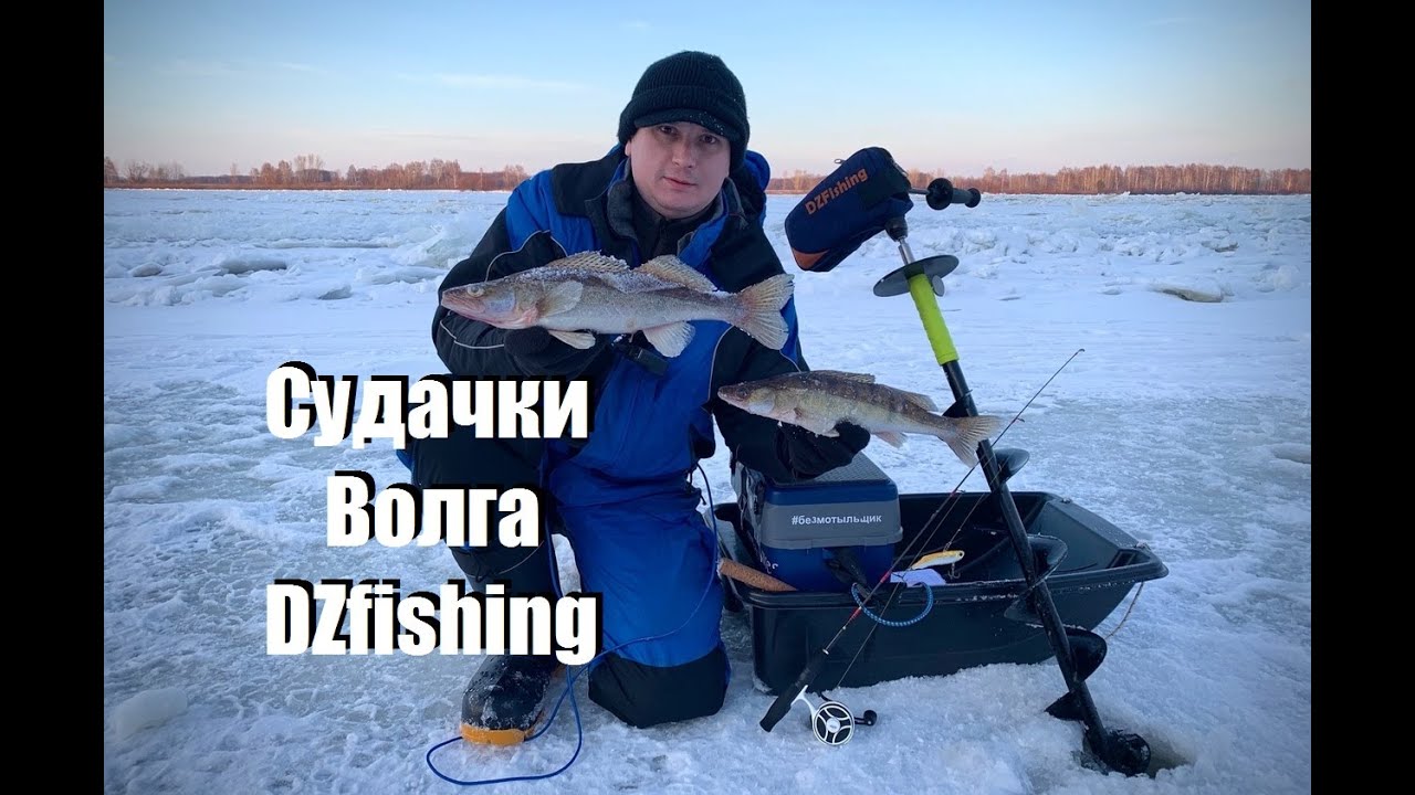 Волга зубцов рыбалка