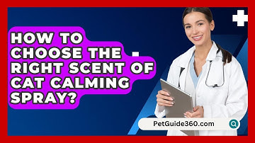 How To Choose The Right Scent Of Cat Calming Spray? - PetGuide360.com