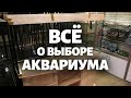 Какой аквариум лучше? Всё о выборе аквариума