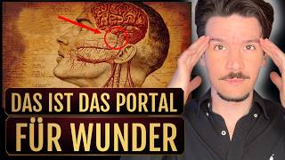 Transformiere dein Nervensystem & erschaffe so FÜLLE (Achtung: machtvoll)