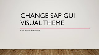 HOW TO CHANGE SAP GUI VISUAL THEME