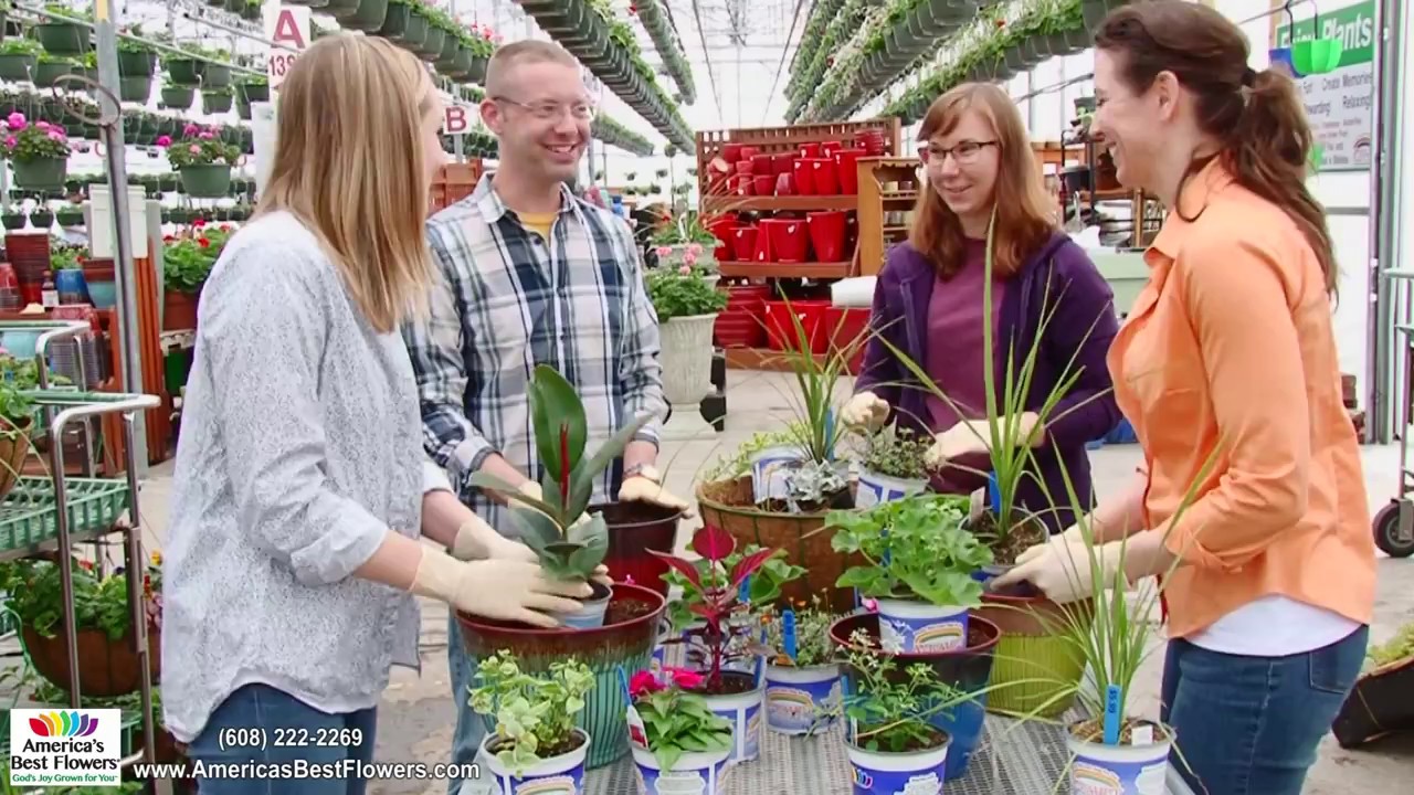 America's Best Flowers I Spring is Here!