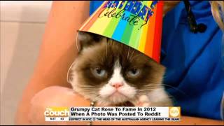 One of the biggest internet sensations all time, grumpy cat, stops by
couch with her owner, tabatha bundesen, to celebrate second birthday.
offici...