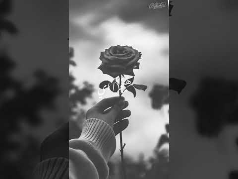 ليل محمدى احتياج واشتياق