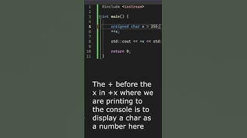 C++_1 Overflow