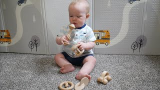 ZHANMAI Wooden Baby Toys Review | Wood Toys Rattles with Bells Montessori Wood Baby Push Car