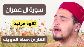 سورة آل عمران ( مرئية ) القارئ معاذ الدويك || sourat al imran mouad daoik