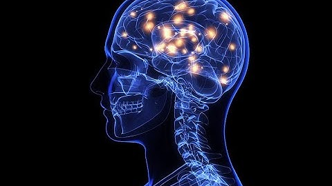 Would you upload YOUR brain to a computer?