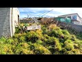 Garden Rescue Edition (Watch me Tackle this Overgrown Jungle)