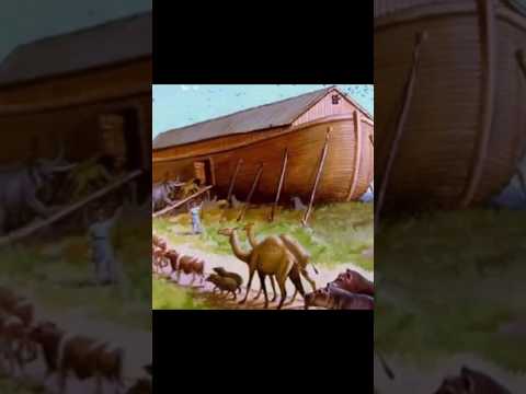 كافر على سفينة نوح قصص الانبياء مع يحيى