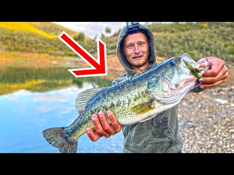 Angler fängt GRÖSSTEN