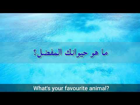 Arabic Phrase Book Lesson 1 | common arabic phrases for beginners.