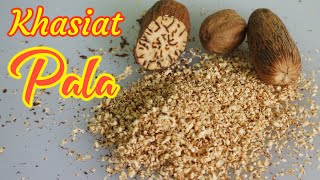 Luar Biasa..!! 8 MANFAAT BIJI PALA BAGI KESEHATAN | MENCEGAH INSOMNIA