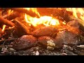 Found a lot river clamshell to cook for food