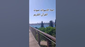 تلاوه خاشعة من القرآن الكريم ♥️🌹😍🤲اللهم اجعل القرآن ربيع قلوبنا ونور صدورنا #اكسبلور #المصحف #لايك