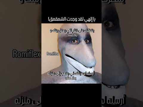 شمقمق