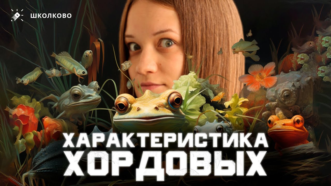 Все характеристики хордовых для ЕГЭ по биологии - YouTube