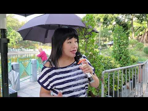 屯门公园 春风吻上我的脸喻米英singing 2019年11月1日