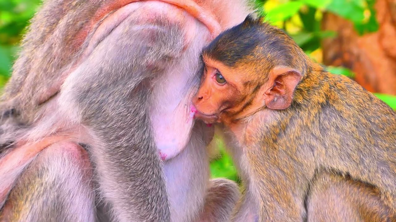 Aww… no matter how big, Mom is still the favorite. 🥰