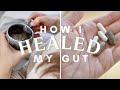 How i healed my gut  chronic digestive issues  my gut health  ibs healing journey