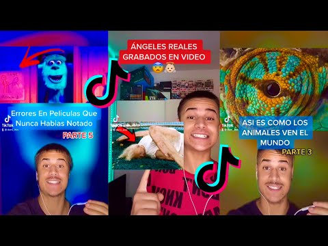 Nuevos Tik Tok