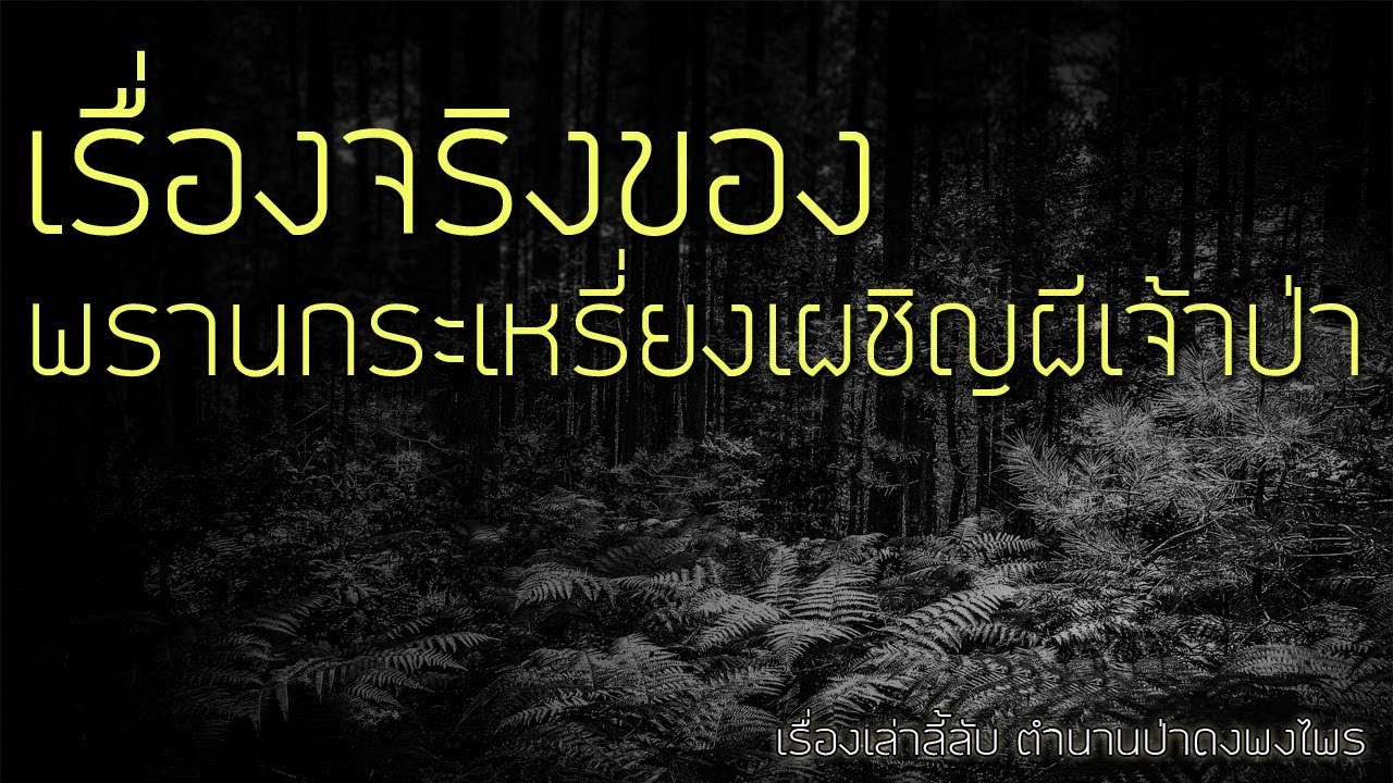 เรื่องลี้ลับ EP20 เรื่องจริง พรานกะเหรี่ยงเผชิญผีเจ้าป่า  (เรื่องเล่าจากป่า)