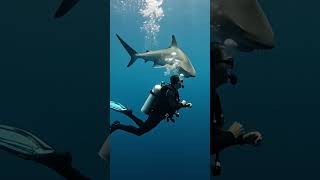 deepsea #deepsea deepsea ...#deepsea #fish #fishingvideo #fishsea #sea #seafood #creature #creatures