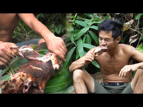 Vidéo: Sanglier : habitant de la forêt
