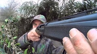 The Shooting Show - pigeons in the fog, and the Blaser R8