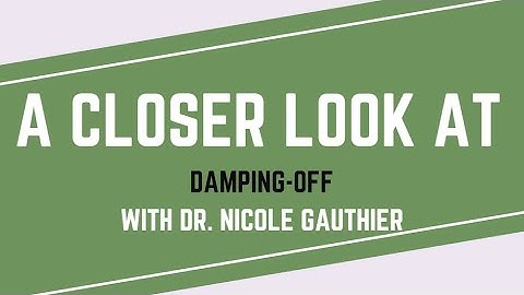 Budding Solutions: A Closer Look at Damping-off, Episode 6