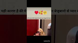 #soul #heartbeat #doggielife #love #pets #cute #goldenretriever #cutedog #bonding #soulfulvibes