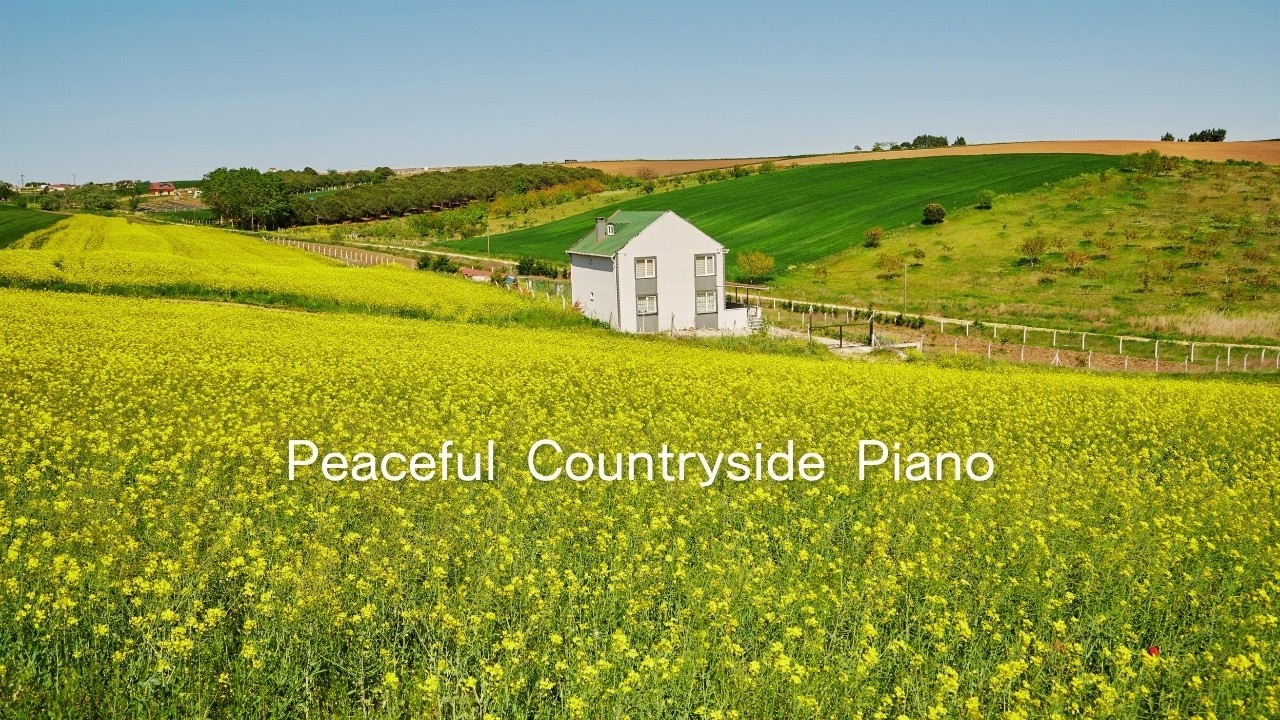 【Calm Piano】のどかな春時間に聴く穏やかなピアノ｜菜の花の丘の午後｜作業用・リラックスBGM