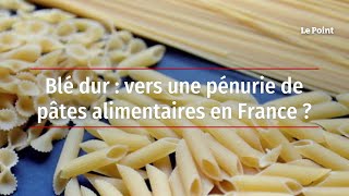 Blé dur : vers une pénurie de pâtes alimentaires en France ?