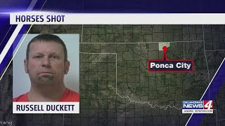 man arrested after allegedly shooting neighbor's horses
