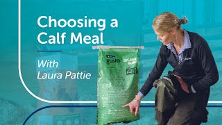 Choosing a Calf Meal | PGG Wrightson Tech Tips