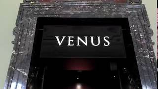 Venus von Willendorf, Wien
