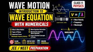 Wave Motion Introduction + Wave Equation Numericals 🔥 | Physics | JEE/NEET and board Preparation