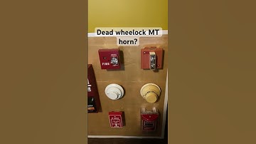 Why is my Wheelock MT horn not sounding but the UMHU is working fine? #advice #firealarm