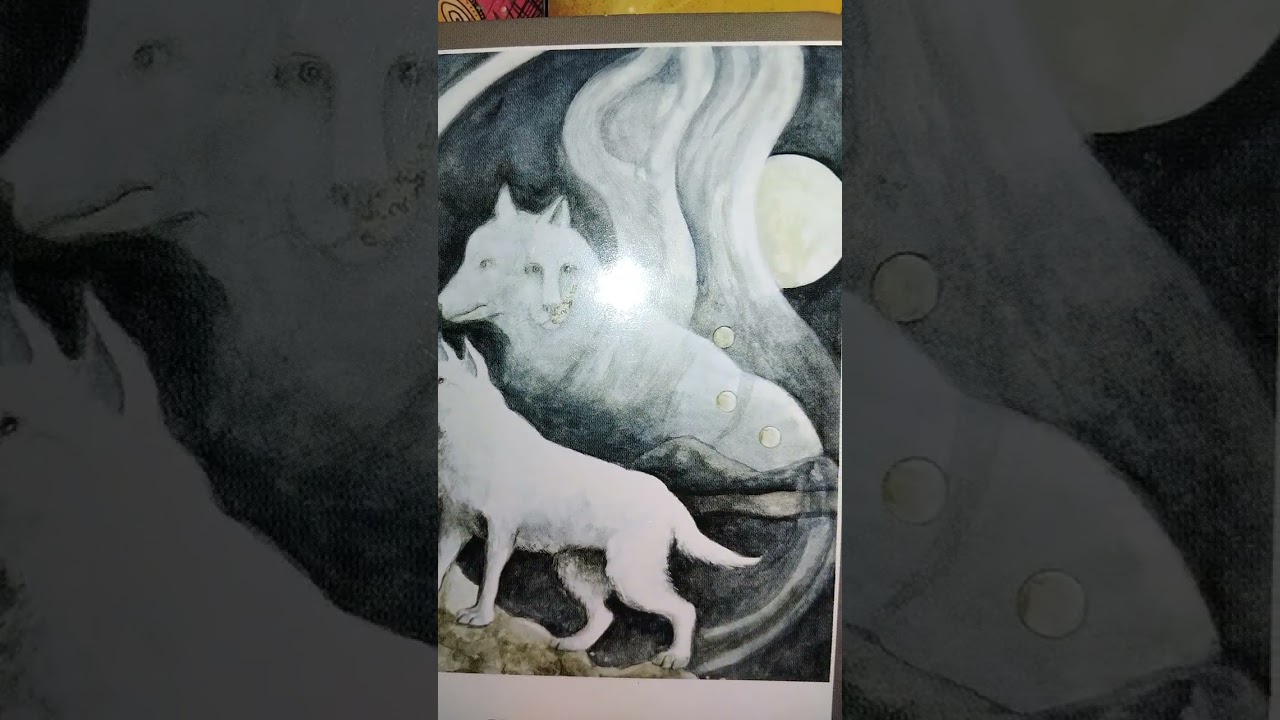 Когда-то ты была аутсайдером!! Теперь ты лидер ✨️🏆🤷🏾‍♀️