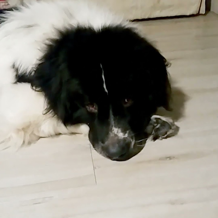 eat-sleep-cuddle-repeat-youtube