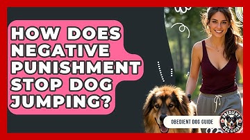 How Does Negative Punishment Stop Dog Jumping? - Obedient Dog Guide