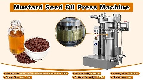 Automatic Mustard Oil Expeller|Hydraulic Mustard Seed Oil Press|Mustard Oil Pressing Equipment