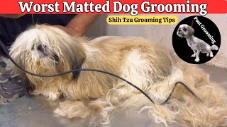 WORST DOG CONDITION FULLY MATTED | 9 MONTHS DOG GROOMING FIRST TIME EVER